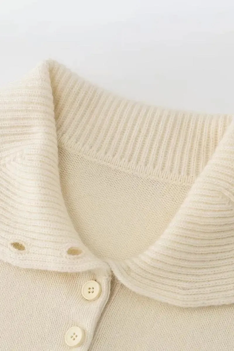 Chunky 100 Cashmere Polo Collar Sweater