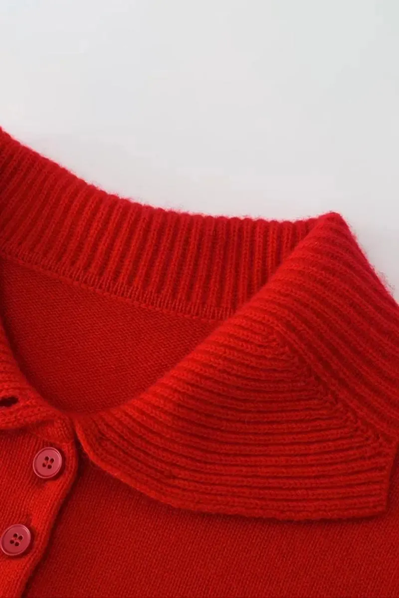 Chunky 100 Cashmere Polo Collar Sweater
